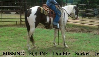 MISSING EQUINE Double Socket Jet, RECOVERED Near Mount Pleasant , TX, 75455